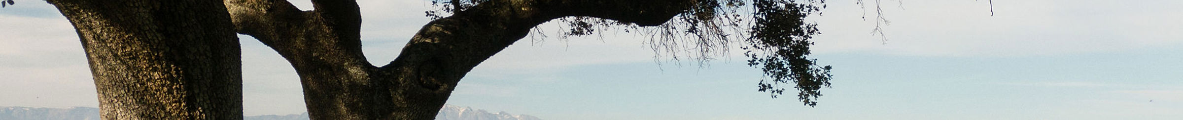 pannello fotovoltaico statkraft