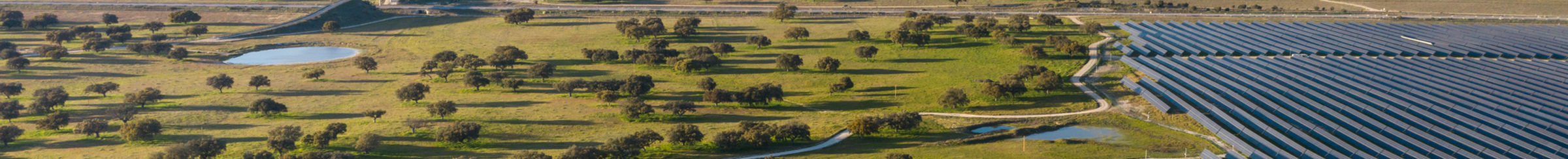 campo con pannelli solari