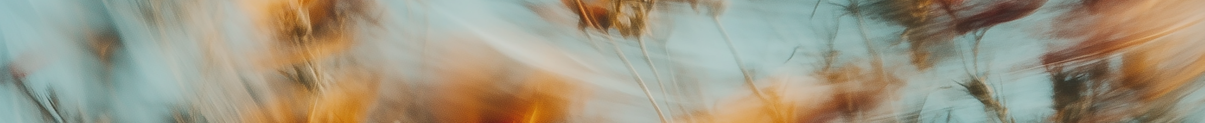Motion blur - Fiori arancioni
