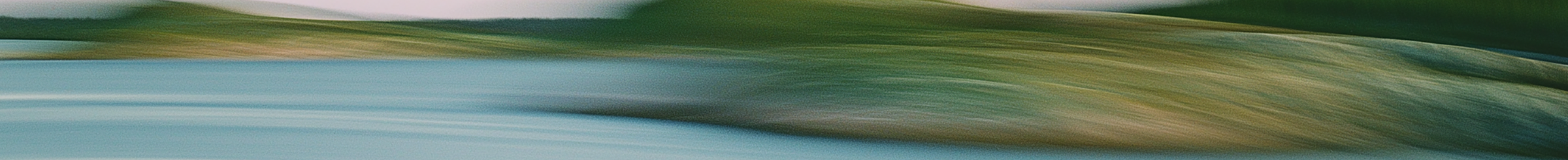 Motion blur - Alberi verdi e acqua