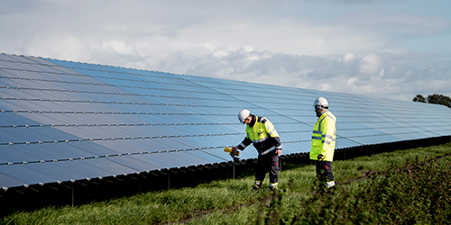 Trabajadores delante de una planta solar